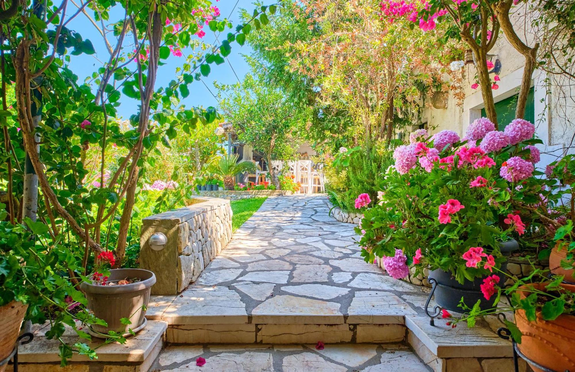 Melia Studio Agros  المظهر الخارجي الصورة